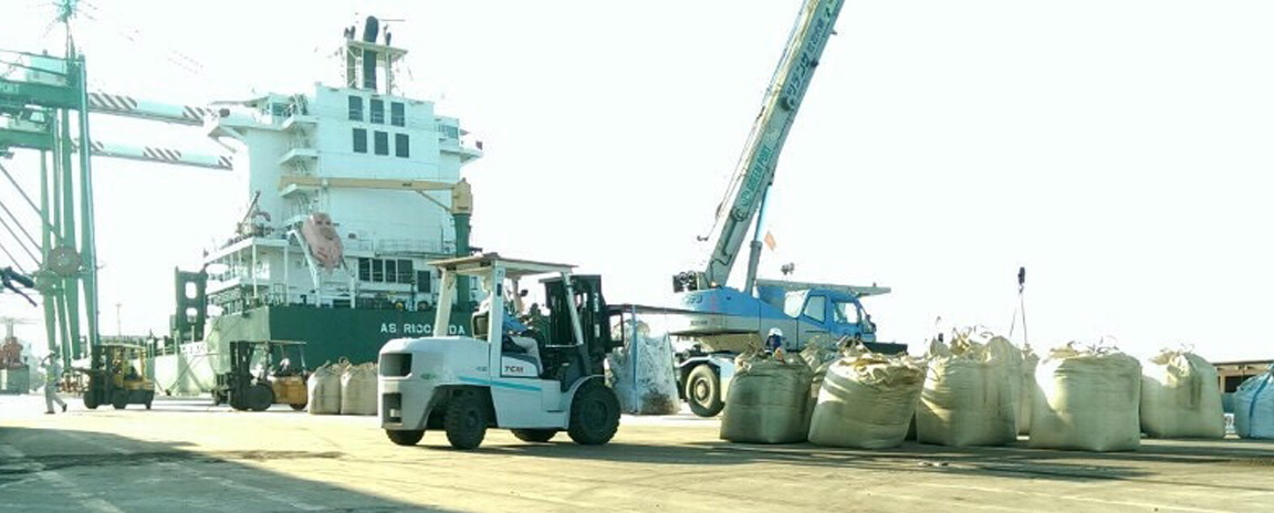 Dịch vụ xe nâng hạ tại cầu cảng Hải Phòng